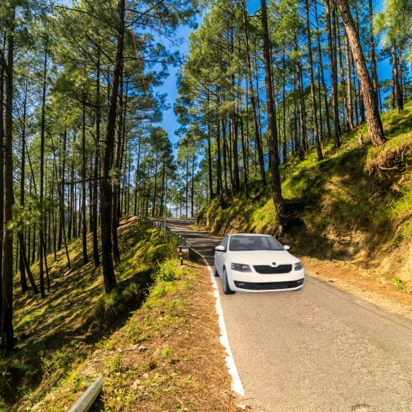 Char Dham by Road